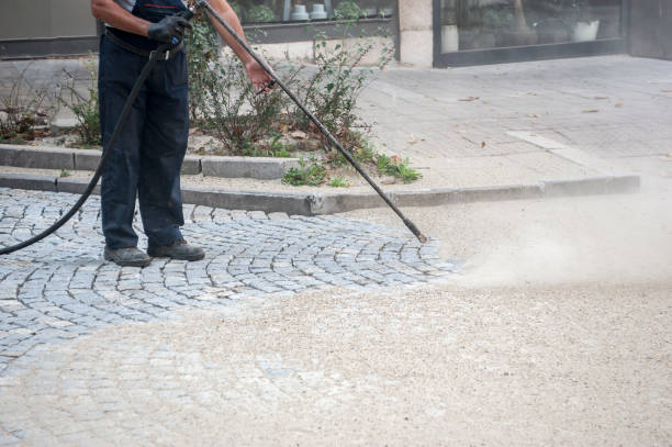 Animal Enclosure Cleaning in Brewster Heights, NY